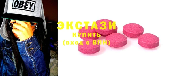 гашик Алексин