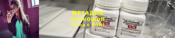гашик Алексин
