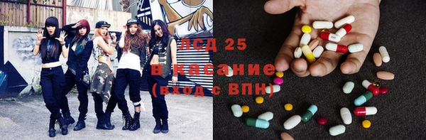 гашик Алексин