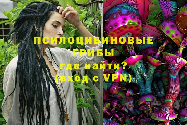 гашик Алексин