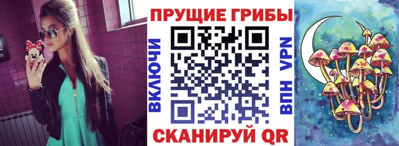 Галлюциногенные грибы Psilocybe  Купить закладки  Алдан 