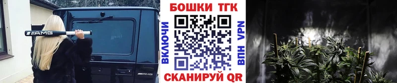 Каннабис планчик Алдан